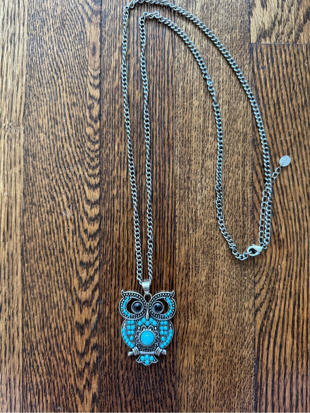 Silver-Tone Owl Pendant Necklace with Turquoise Accents